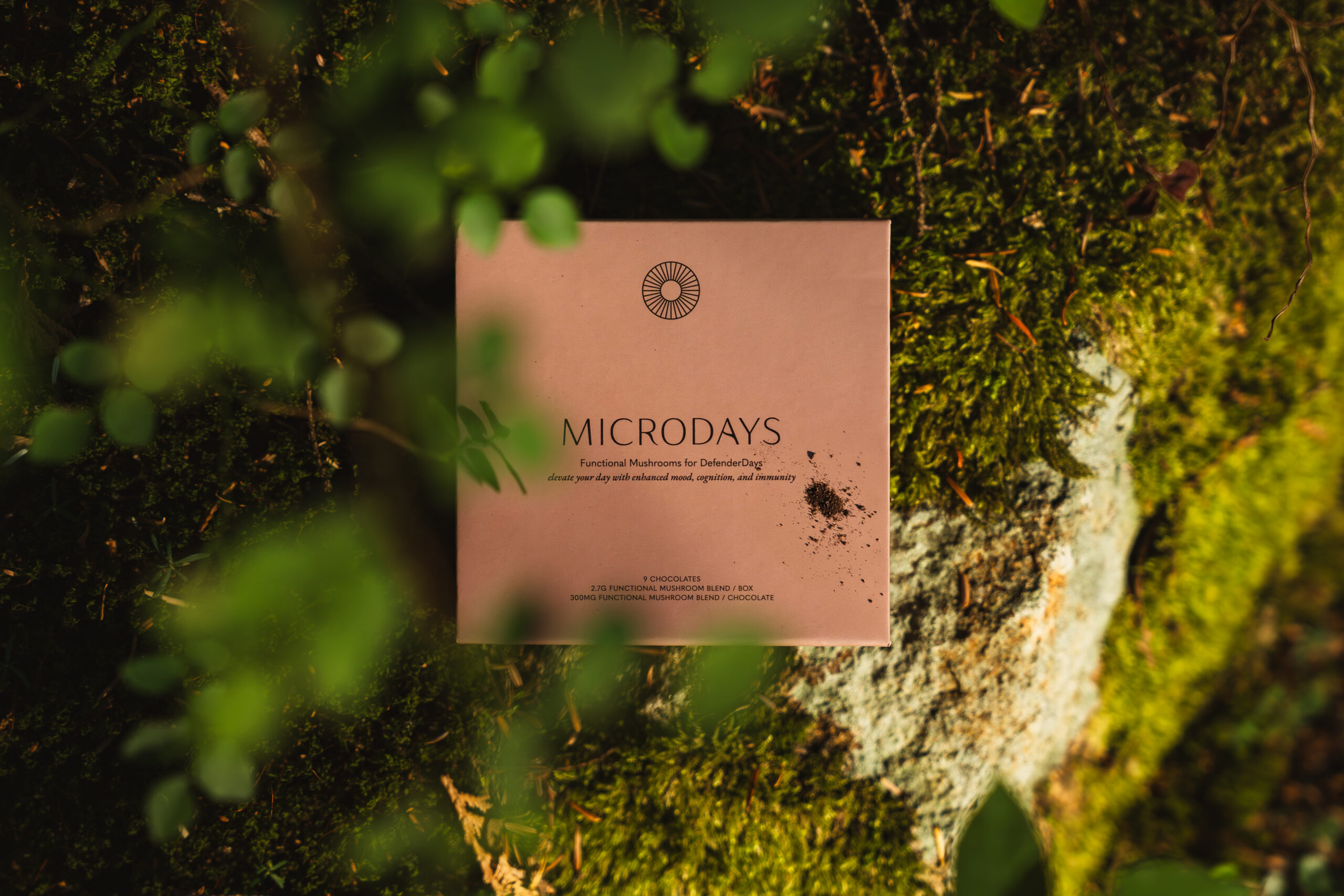 MicroDays chocolate box on a mossy forest floor framed by green leaves